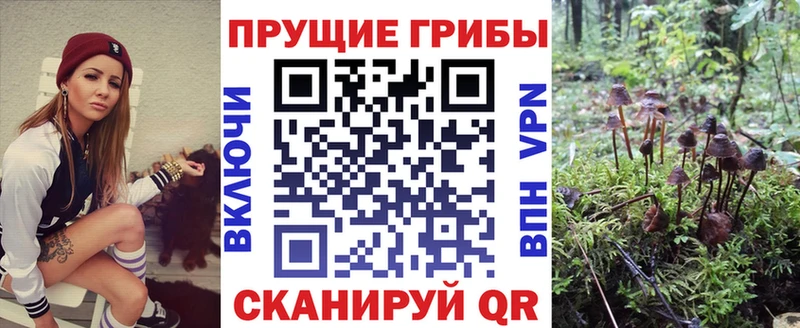 наркошоп Салаир Псилоцибиновые грибы мицелий